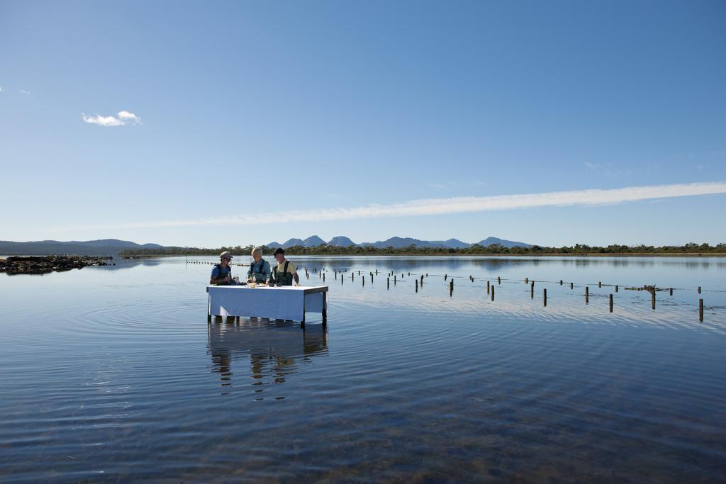 Готель Saffire - Freycinet Колс-Бей Екстер'єр фото